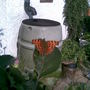 Butterfly in in-laws garden 2