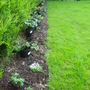 My new border