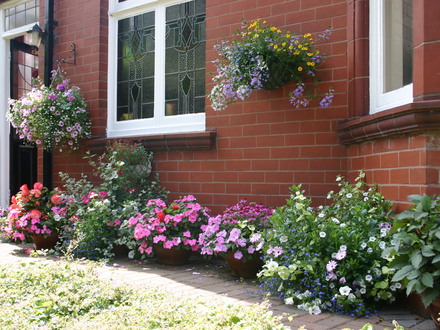 Summer pots 2006