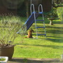 Visit of the fox cub part 2