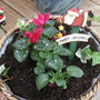 Xmas Baskets orders