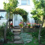 Our back garden