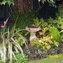Birdbath. and Dicentra