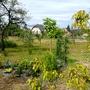 Lower garden