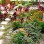 Side garden in September