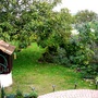 View from top of steps from terrace to patio.