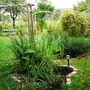 View from centre of top garden.