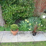 Rear garden Spring 2005.
