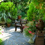 My back yard