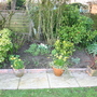 Rear garden Spring 2005 right border 3.
