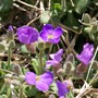 Easter_013.jpg