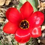 Easter_009.jpg