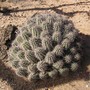 Picture_080.jpg