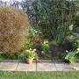 Rear garden Spring 2005 left border 1