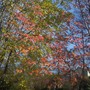 100_7164.jpg