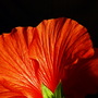 P9251251