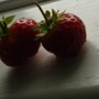 yummy
