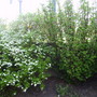 Captured_2007-4-13_00013