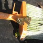A brush with a butterfly.