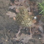 Picture_190