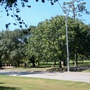 Memorial Park 