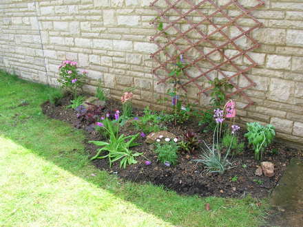 Bed end of August