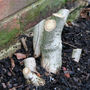 Oops, thats a bit short (Wisteria sinensis (Chinese wisteria))