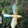 bird in flight