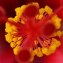 P8270127b