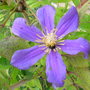 Dscn0428