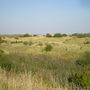 SERPENTINE GREEN HAMPTON PETERBOROUGH