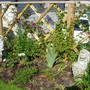 tidying borders