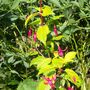 Picture_010