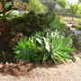 Dscn2359