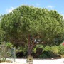 Dscn1764