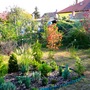 Lower garden at the end of September