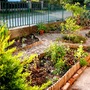 Front garden view in late September