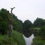 009.jpg