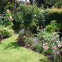 Roses (Roses)