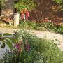 A garden flower photo