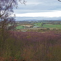 Top of the Edge