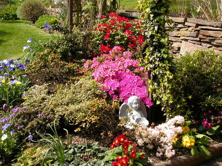 Azalea bed