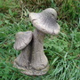 Mushrooms..