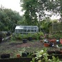 greenhouse