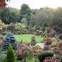 View from the kitchen steps