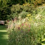 Herbaceous border