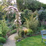 Borders again (Ceanothus)