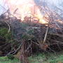 Wassail_bonfire