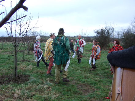 Morris dancing at the Wassail