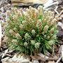 Dscf1894
